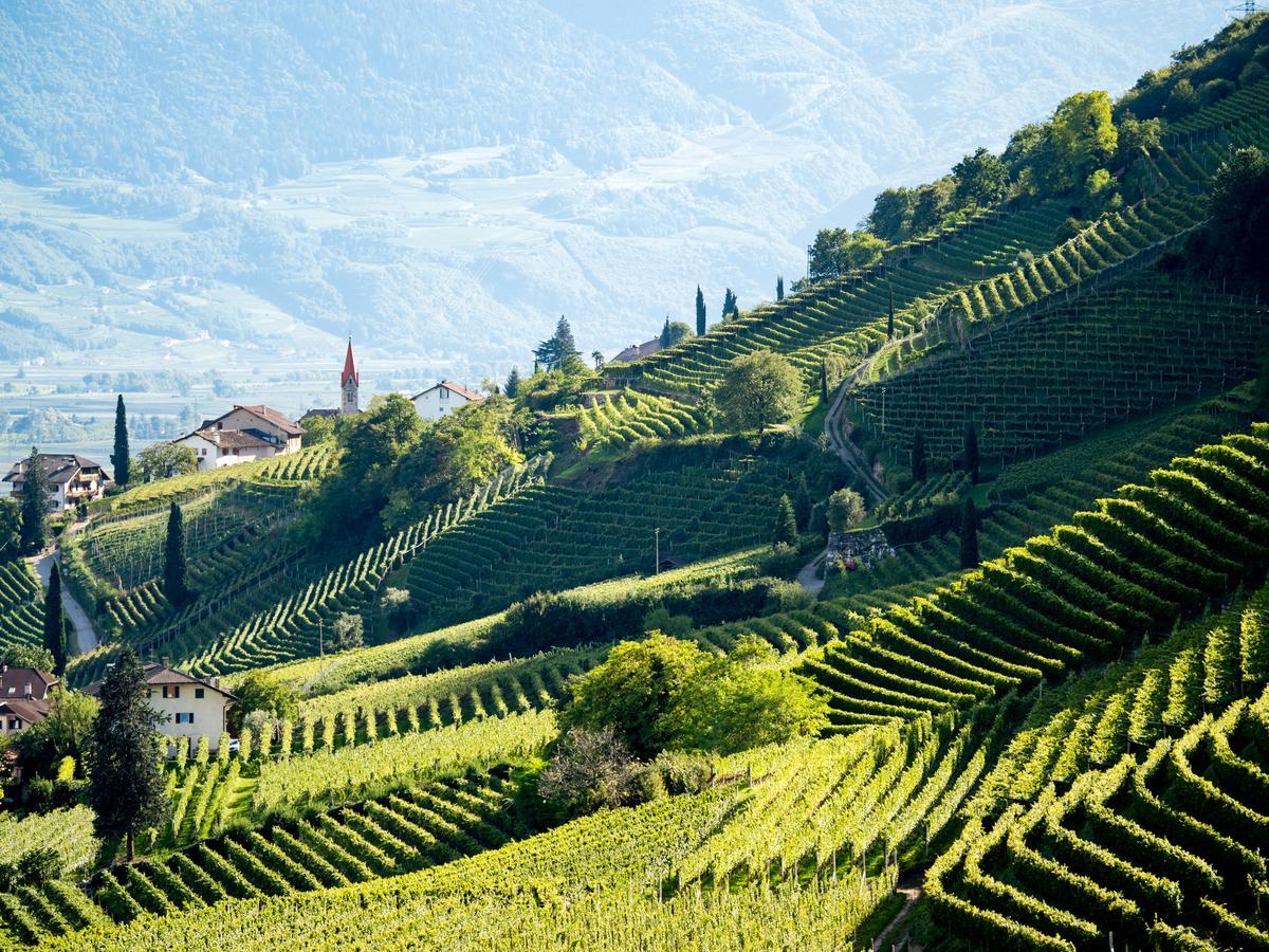 Hotel Plattenhof تيرمينو المظهر الخارجي الصورة